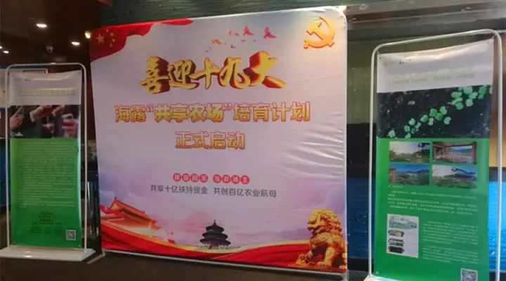 赏金船主·PG(中国游)官方网站