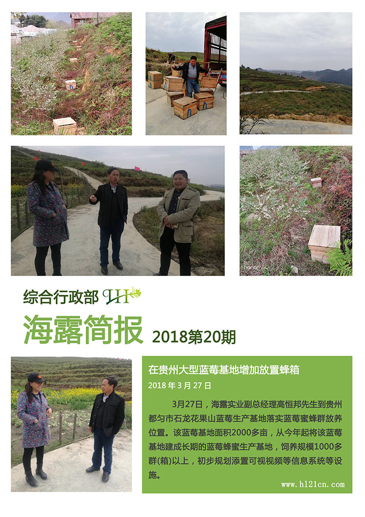 赏金船主·PG(中国游)官方网站