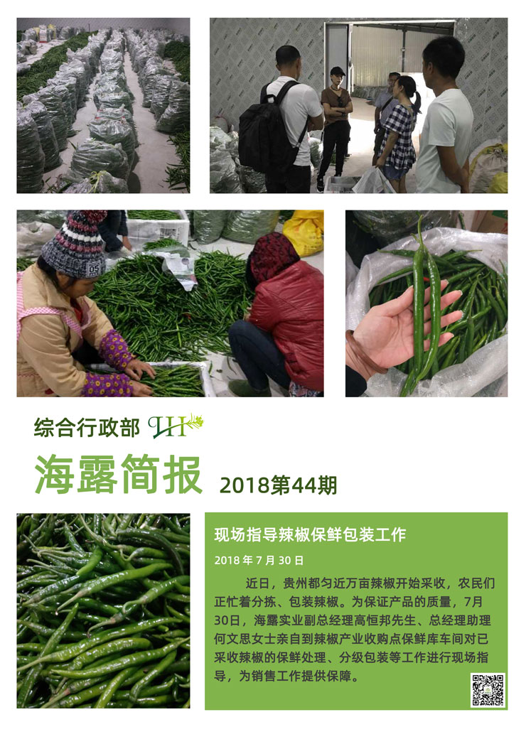 赏金船主·PG(中国游)官方网站