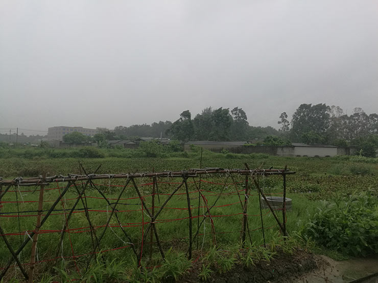 赏金船主·PG(中国游)官方网站