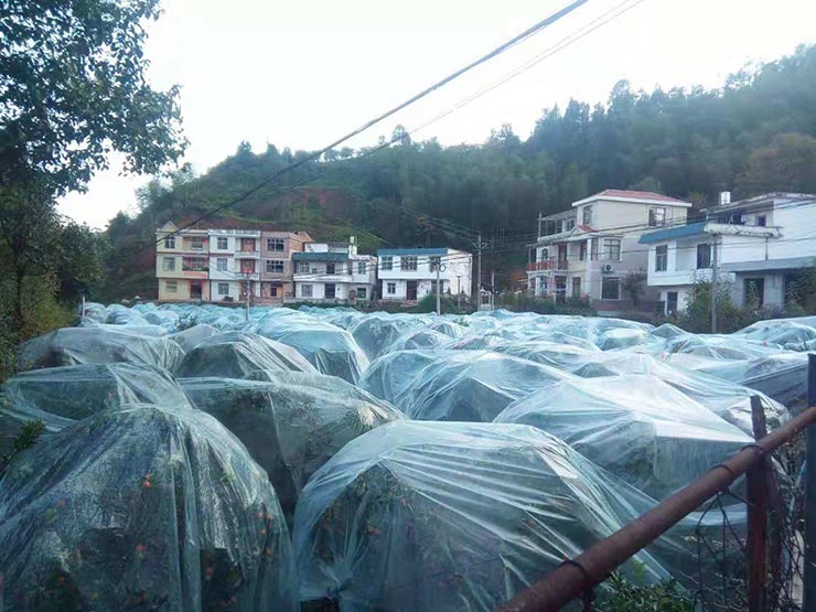 赏金船主·PG(中国游)官方网站