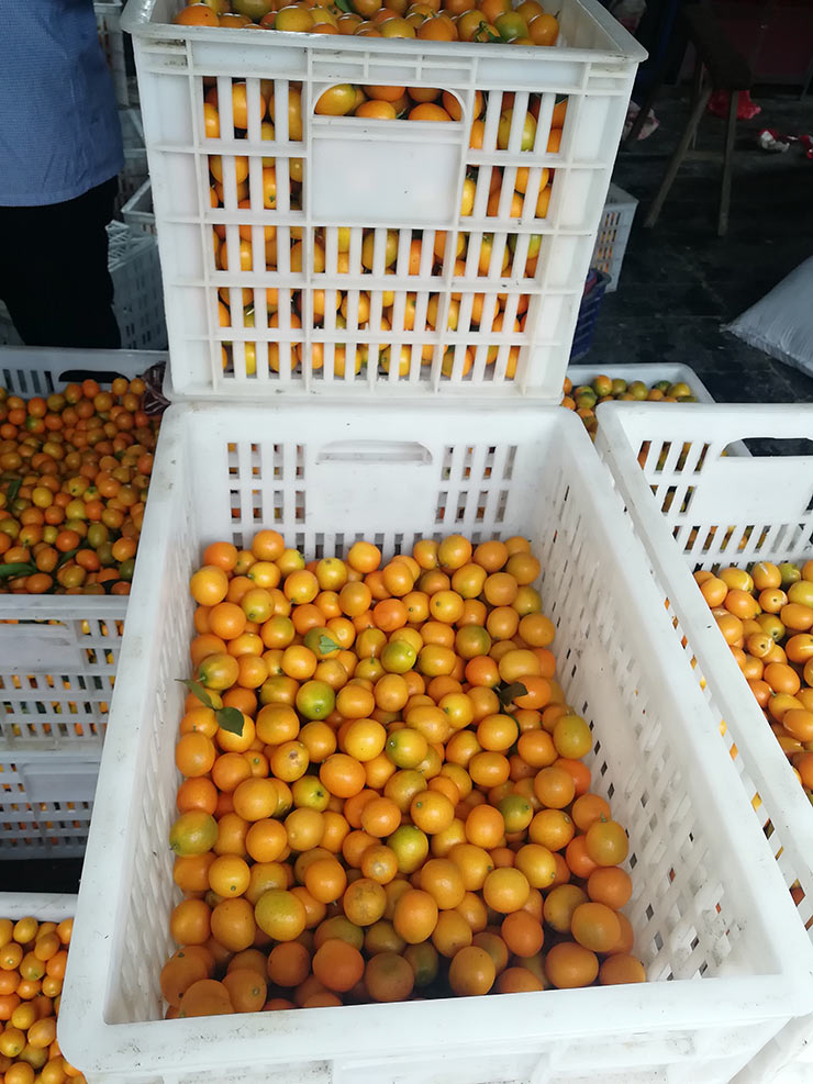 赏金船主·PG(中国游)官方网站