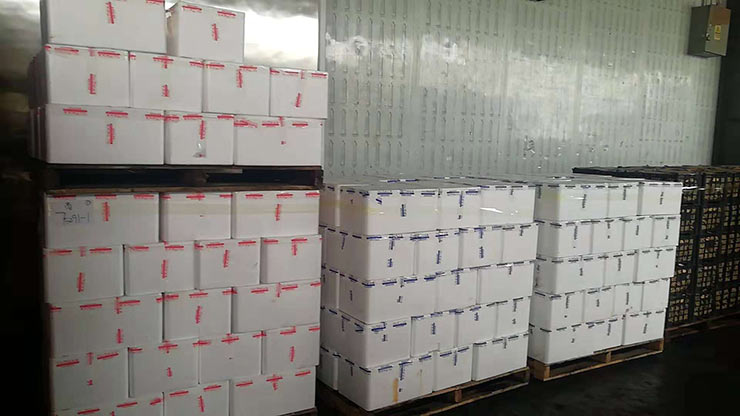 赏金船主·PG(中国游)官方网站