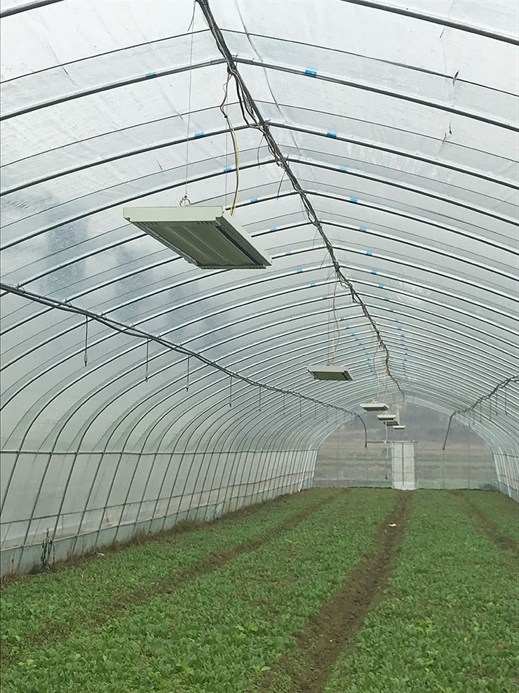 赏金船主·PG(中国游)官方网站