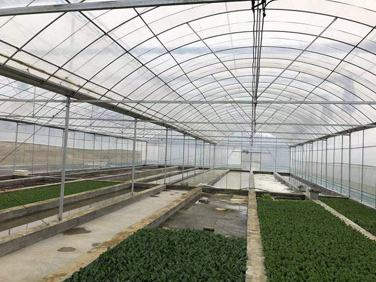 赏金船主·PG(中国游)官方网站