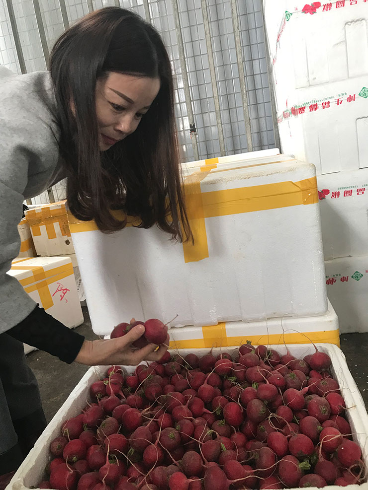 赏金船主·PG(中国游)官方网站