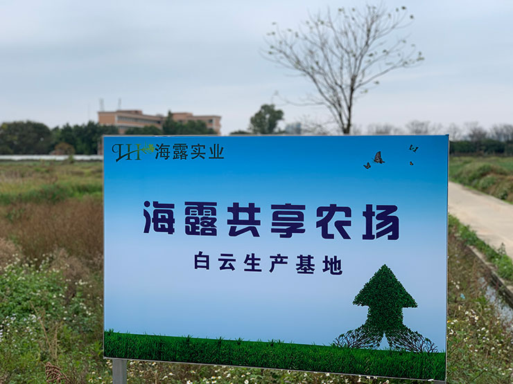 赏金船主·PG(中国游)官方网站