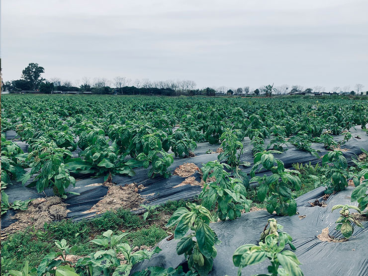 赏金船主·PG(中国游)官方网站