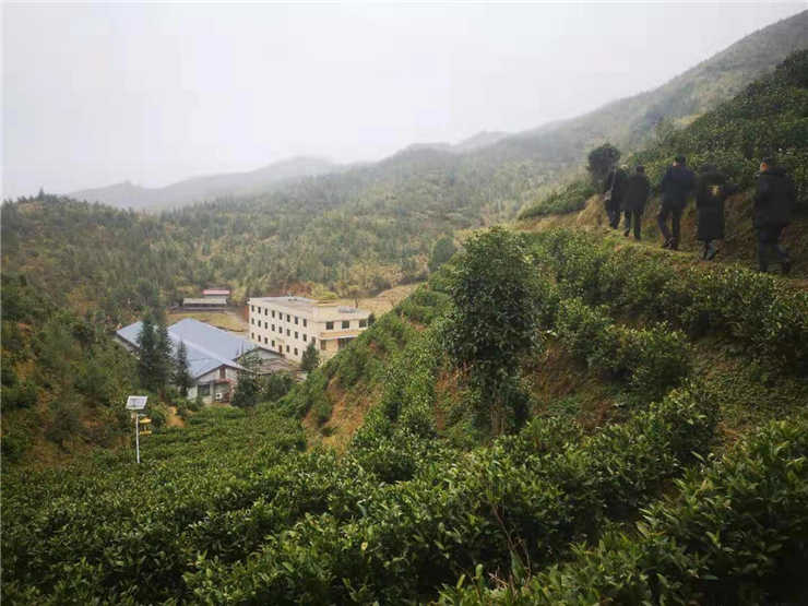 赏金船主·PG(中国游)官方网站