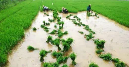 赏金船主·PG(中国游)官方网站