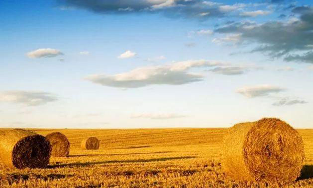 赏金船主·PG(中国游)官方网站