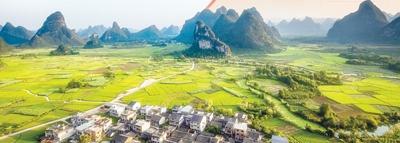 赏金船主·PG(中国游)官方网站