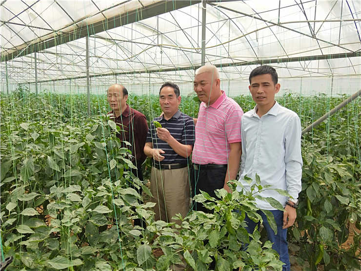 赏金船主·PG(中国游)官方网站