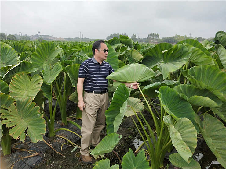 赏金船主·PG(中国游)官方网站