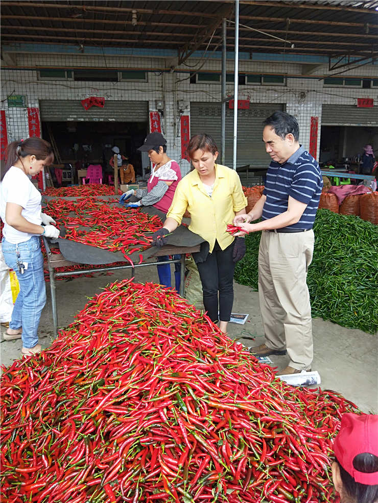 赏金船主·PG(中国游)官方网站