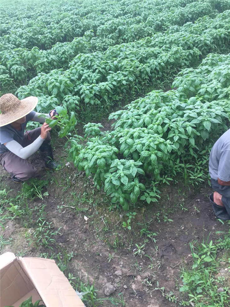 赏金船主·PG(中国游)官方网站