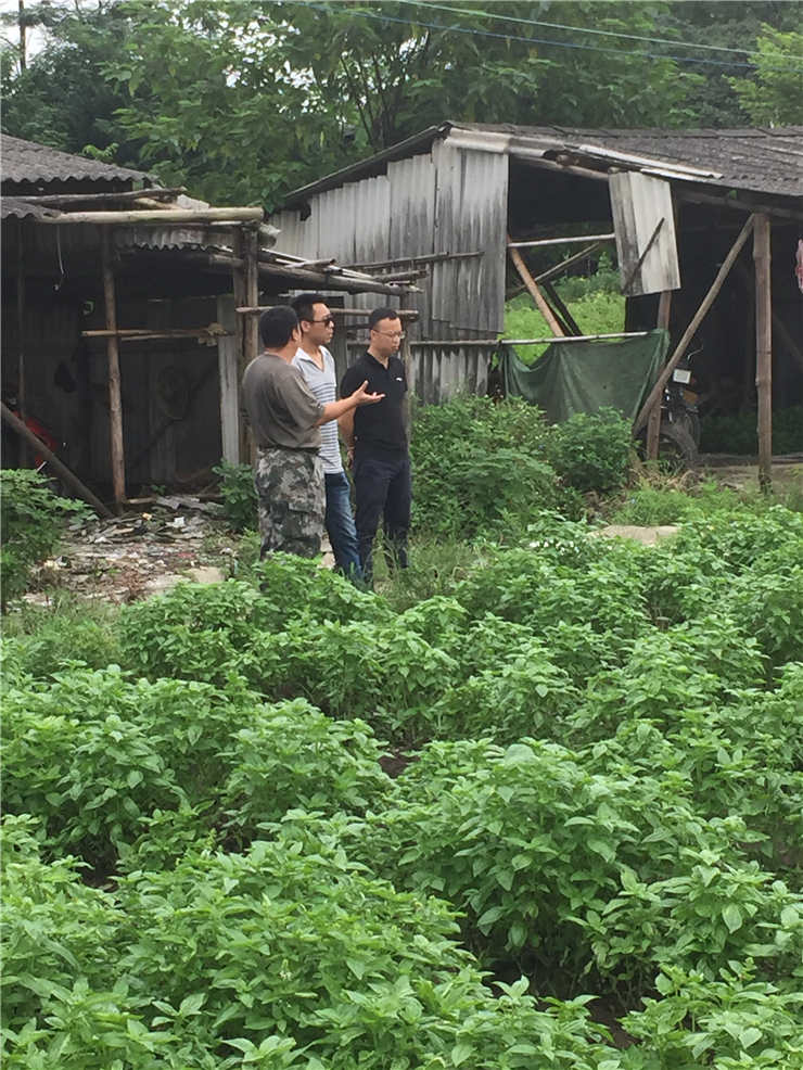 赏金船主·PG(中国游)官方网站