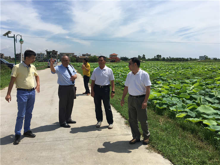 赏金船主·PG(中国游)官方网站