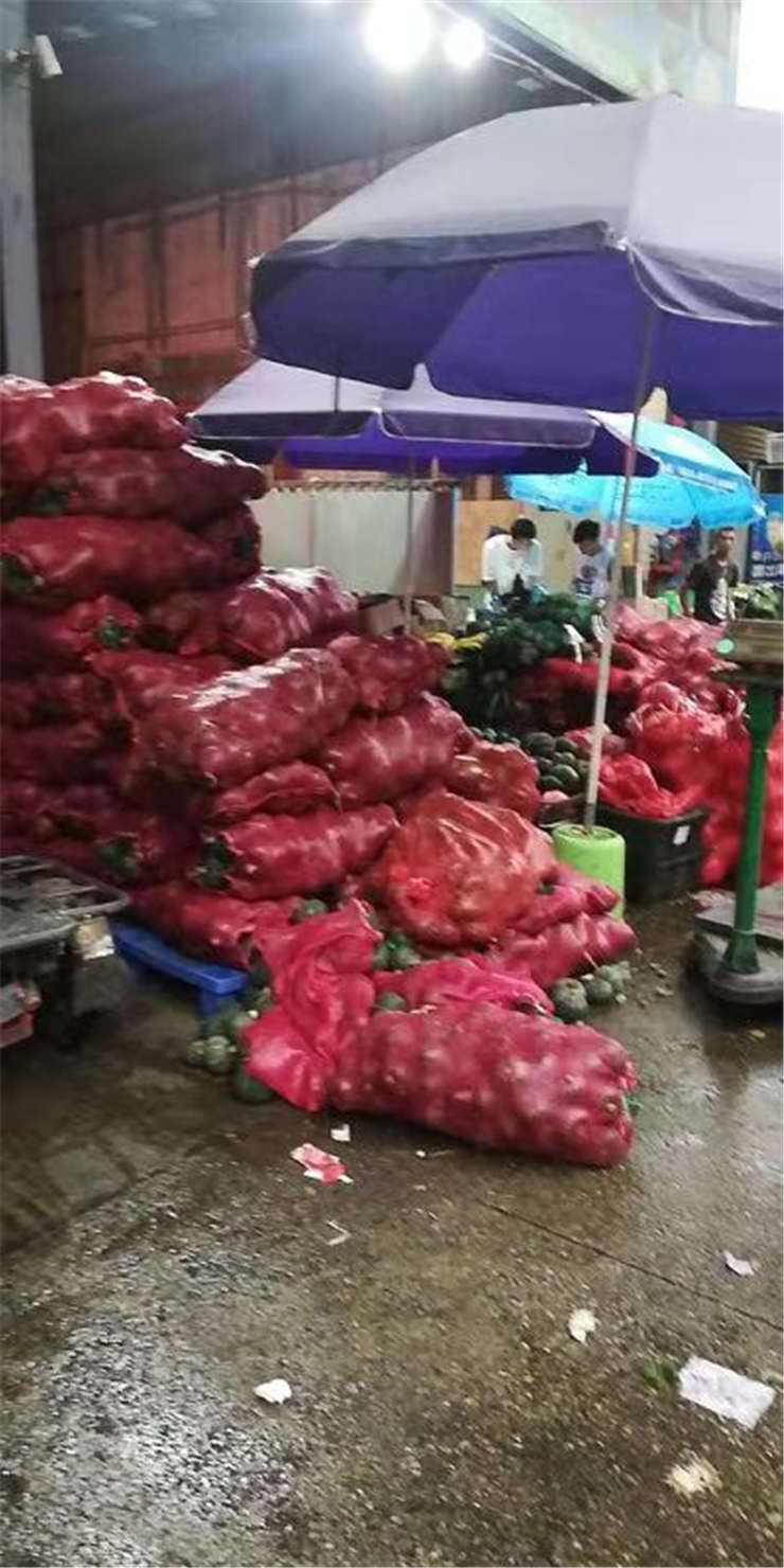 赏金船主·PG(中国游)官方网站