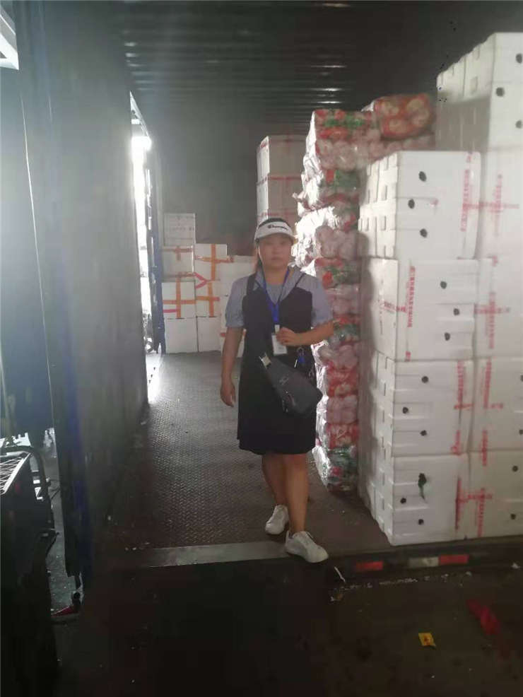 赏金船主·PG(中国游)官方网站