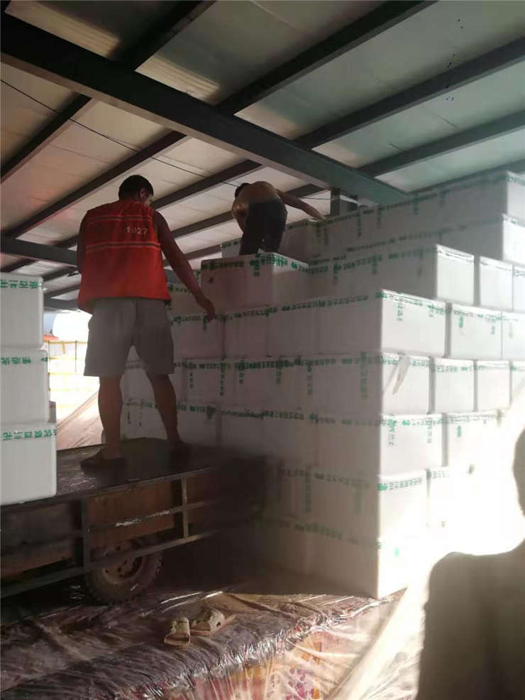 赏金船主·PG(中国游)官方网站