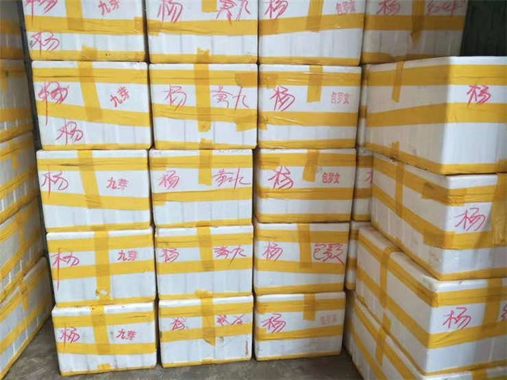 赏金船主·PG(中国游)官方网站