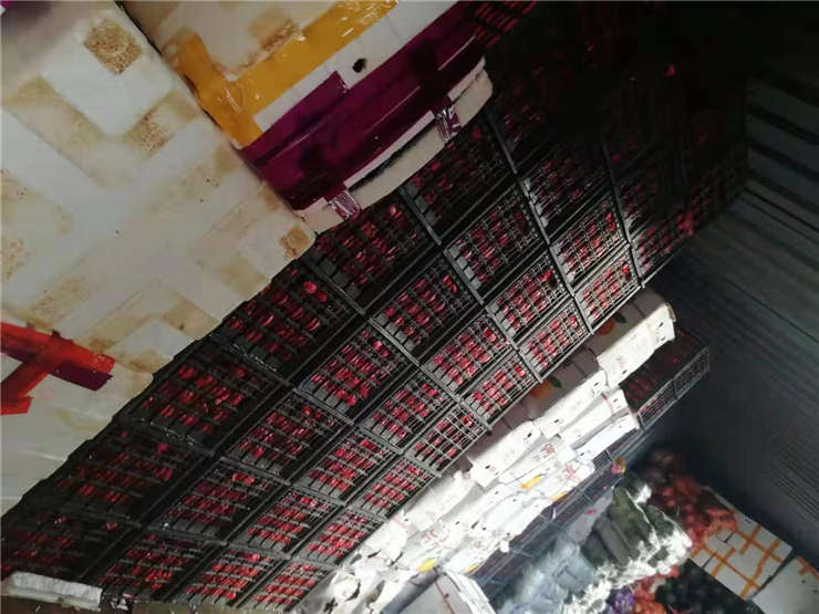 赏金船主·PG(中国游)官方网站