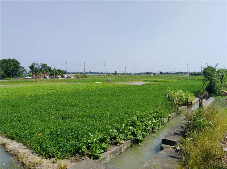 赏金船主·PG(中国游)官方网站