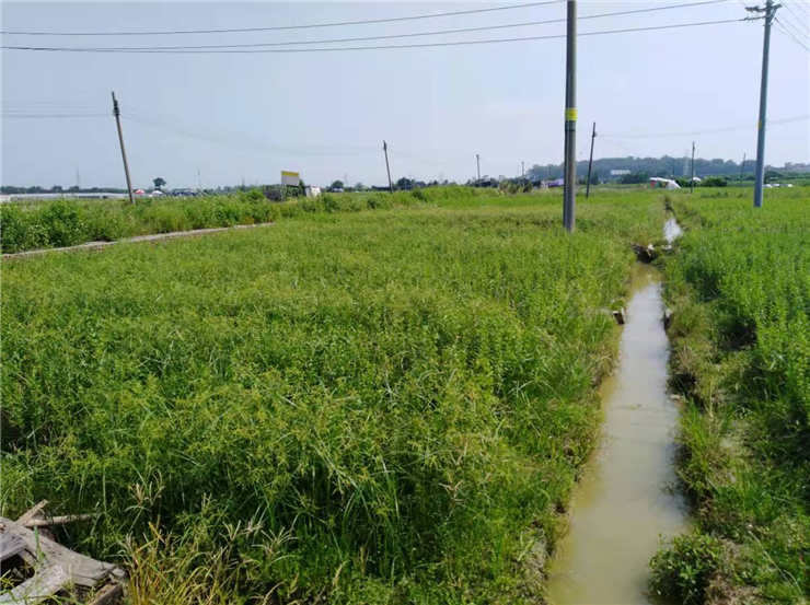 赏金船主·PG(中国游)官方网站