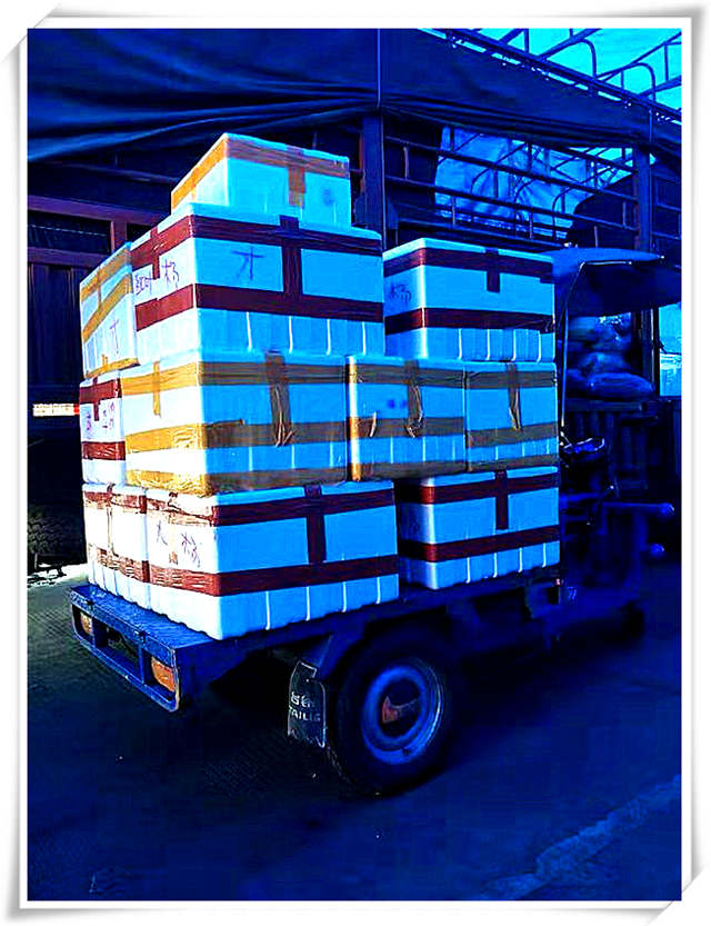 赏金船主·PG(中国游)官方网站