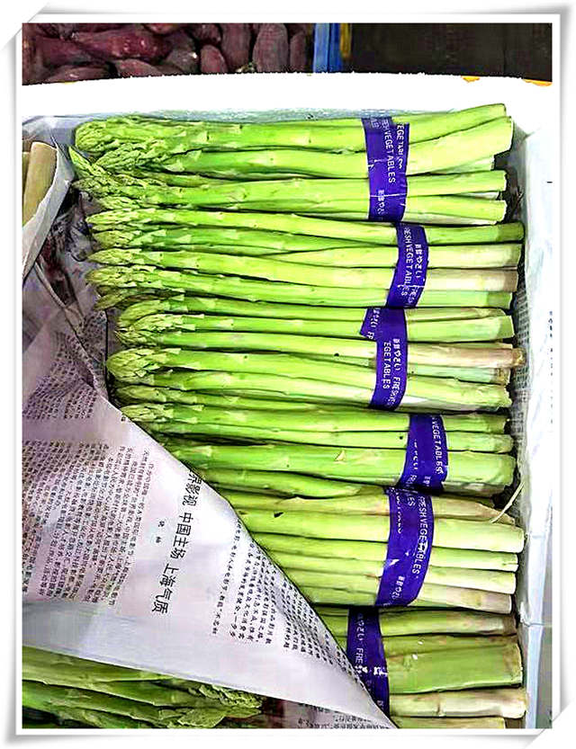 赏金船主·PG(中国游)官方网站