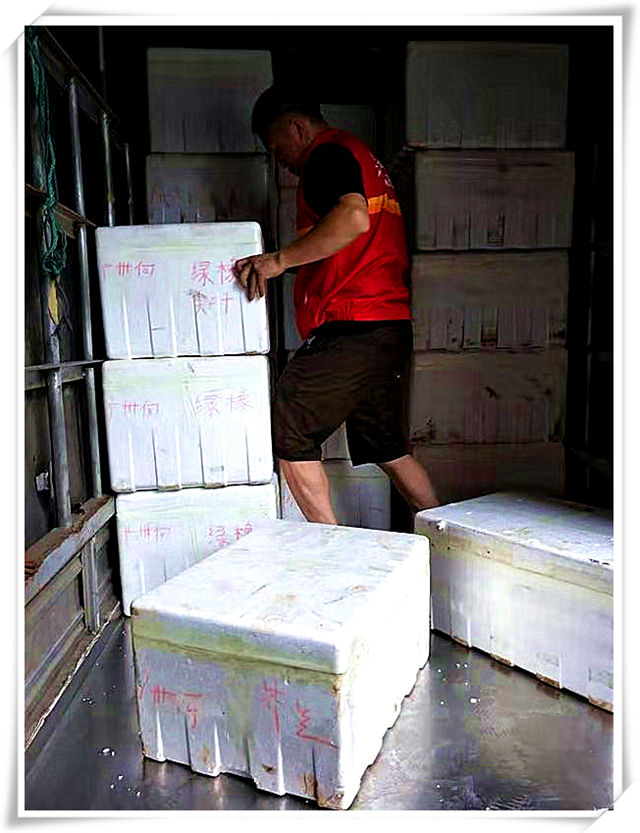 赏金船主·PG(中国游)官方网站