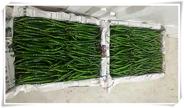 赏金船主·PG(中国游)官方网站