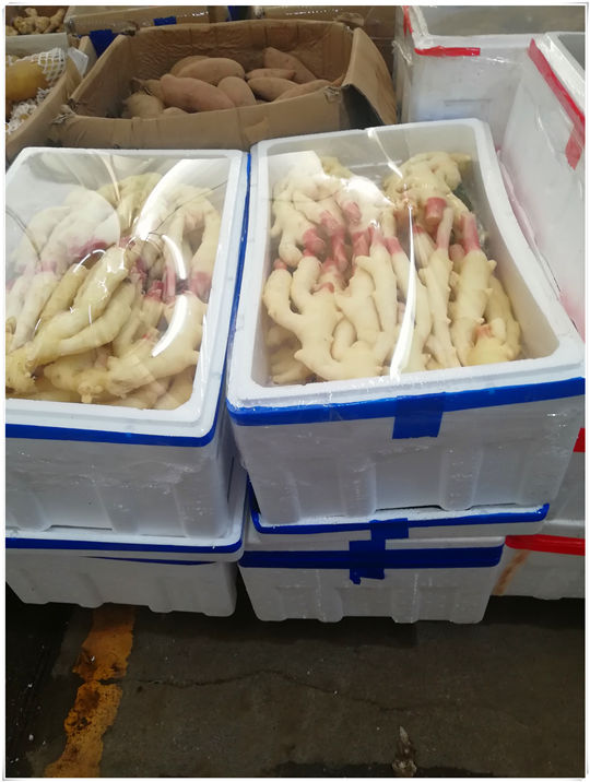 赏金船主·PG(中国游)官方网站