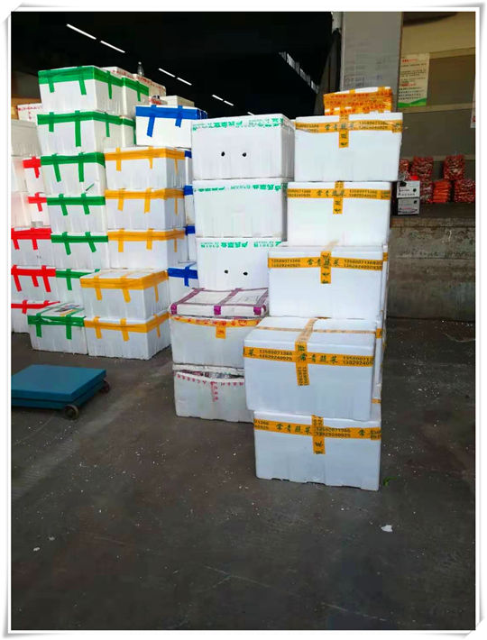 赏金船主·PG(中国游)官方网站