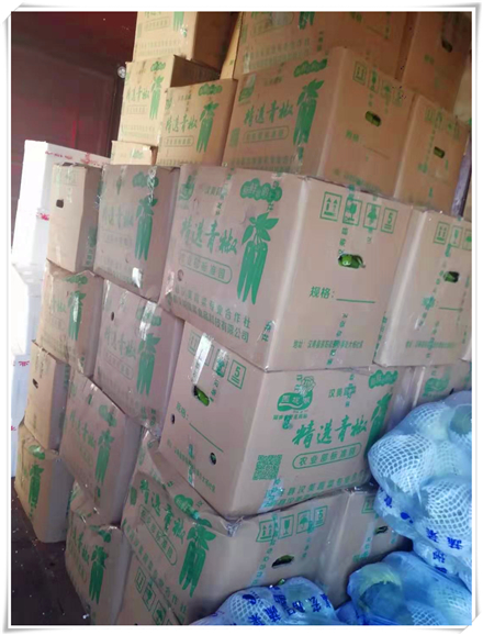 赏金船主·PG(中国游)官方网站