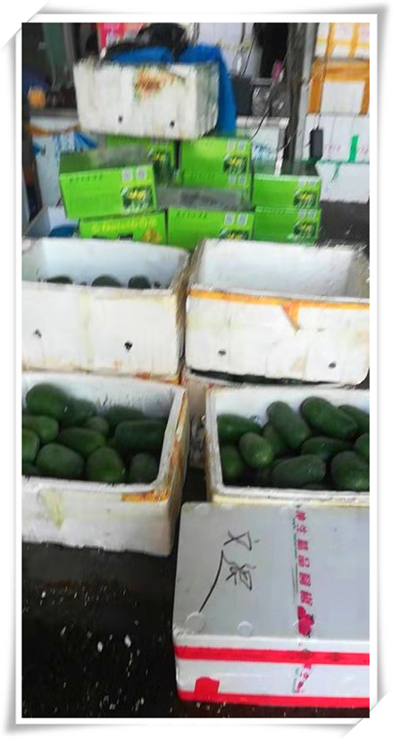 赏金船主·PG(中国游)官方网站