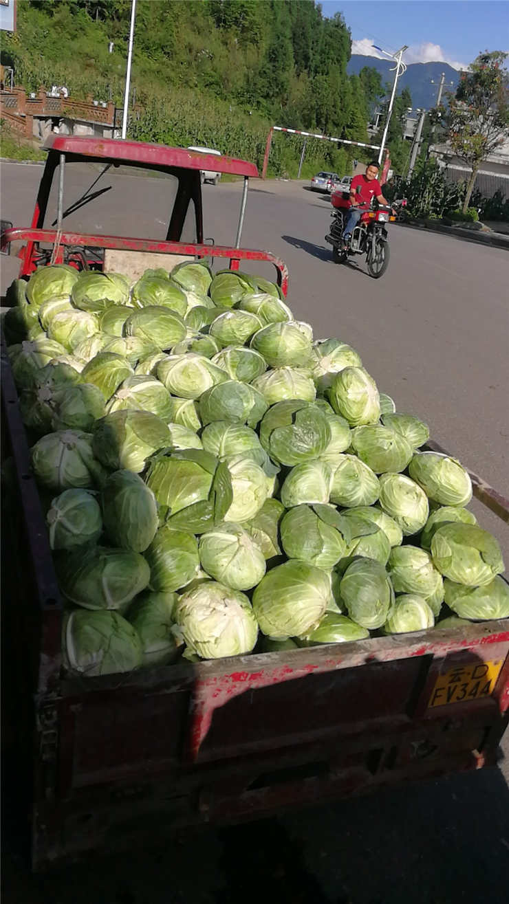 赏金船主·PG(中国游)官方网站