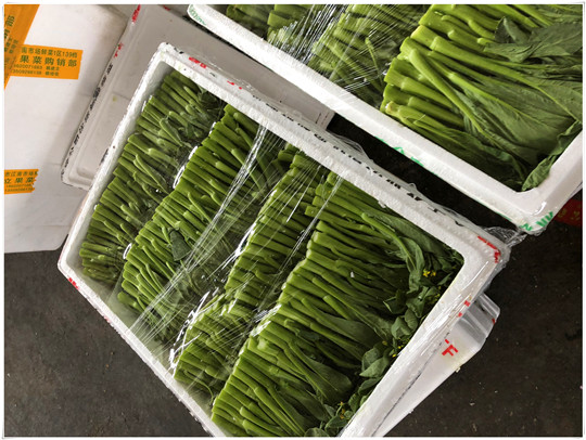 赏金船主·PG(中国游)官方网站