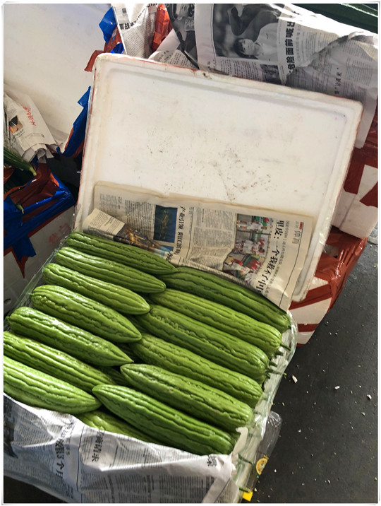 赏金船主·PG(中国游)官方网站