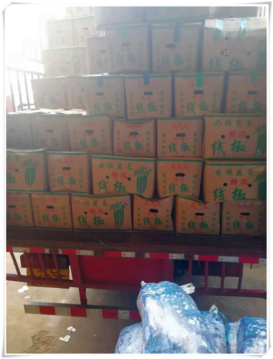 赏金船主·PG(中国游)官方网站