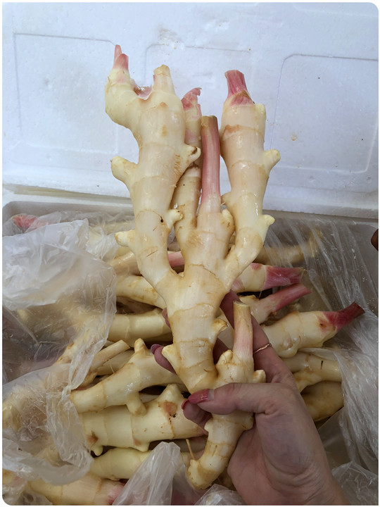 赏金船主·PG(中国游)官方网站