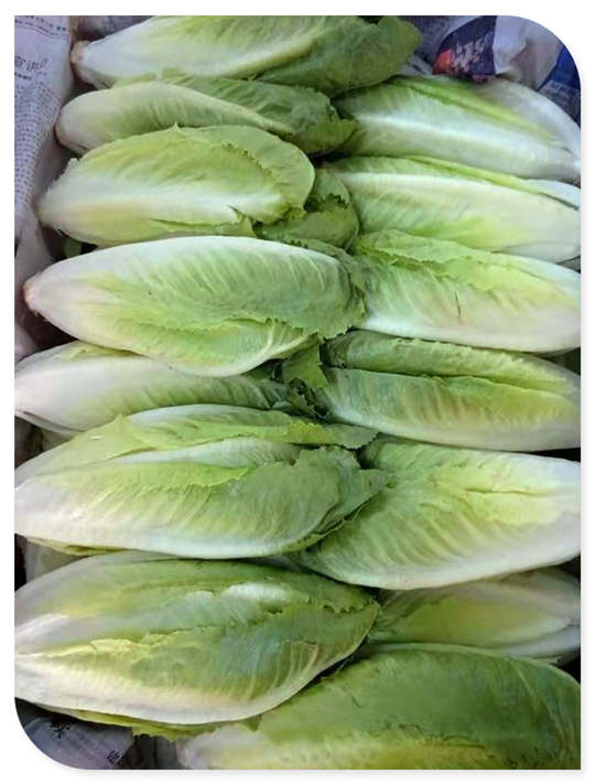 赏金船主·PG(中国游)官方网站