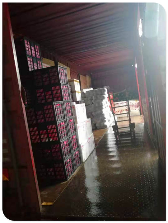 赏金船主·PG(中国游)官方网站