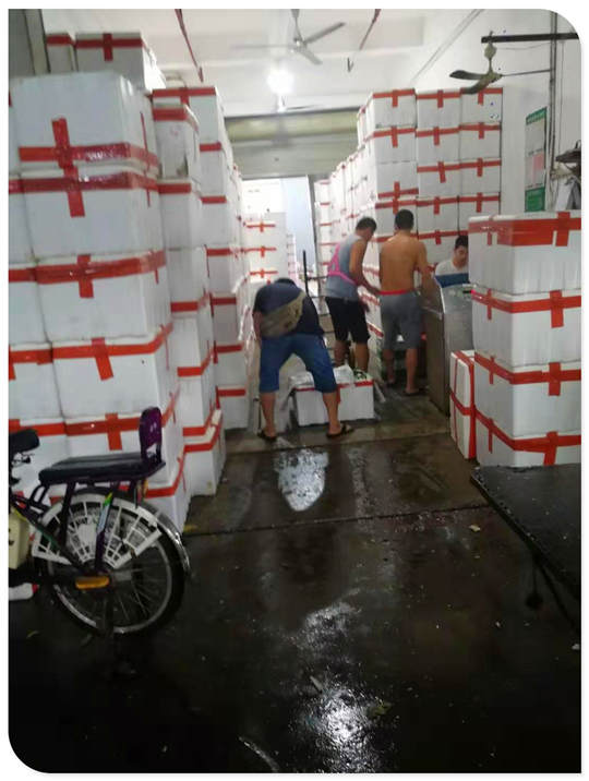 赏金船主·PG(中国游)官方网站