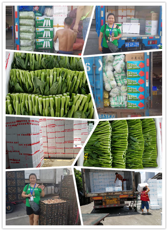 赏金船主·PG(中国游)官方网站