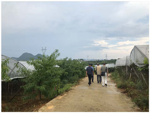 赏金船主·PG(中国游)官方网站