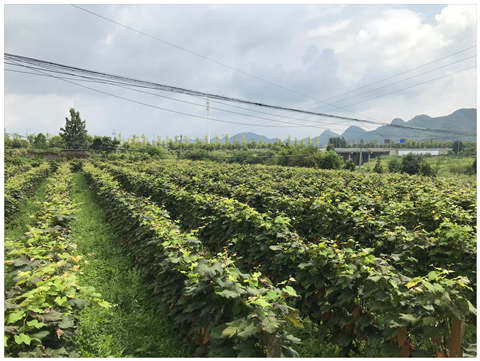 赏金船主·PG(中国游)官方网站