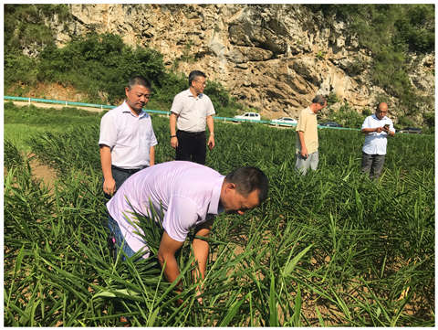 赏金船主·PG(中国游)官方网站