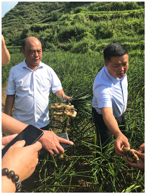 赏金船主·PG(中国游)官方网站